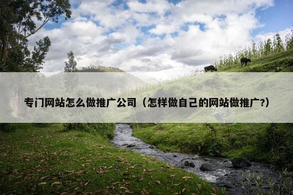 专门网站怎么做推广公司（怎样做自己的网站做推广?）