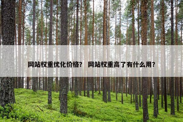 网站权重优化价格？ 网站权重高了有什么用？
