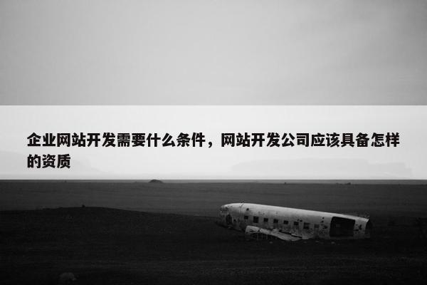 企业网站开发需要什么条件，网站开发公司应该具备怎样的资质