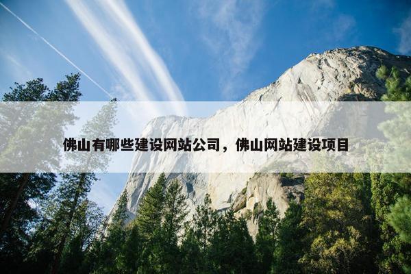 佛山有哪些建设网站公司，佛山网站建设项目