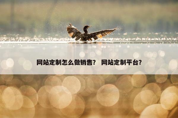 网站定制怎么做销售？ 网站定制平台？