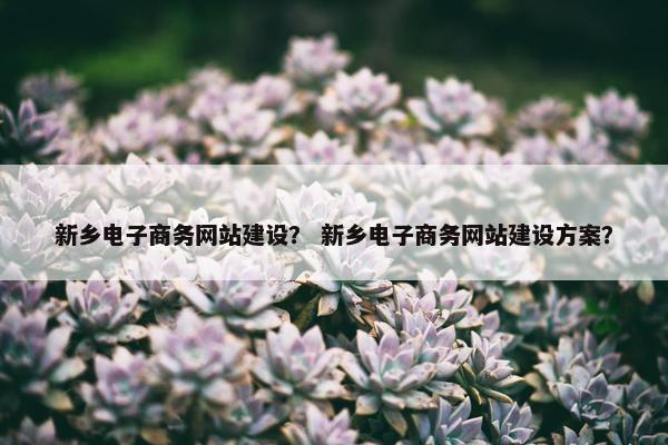 新乡电子商务网站建设？ 新乡电子商务网站建设方案？