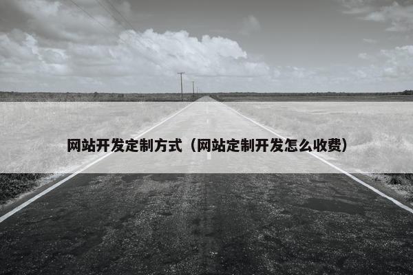网站开发定制方式（网站定制开发怎么收费）