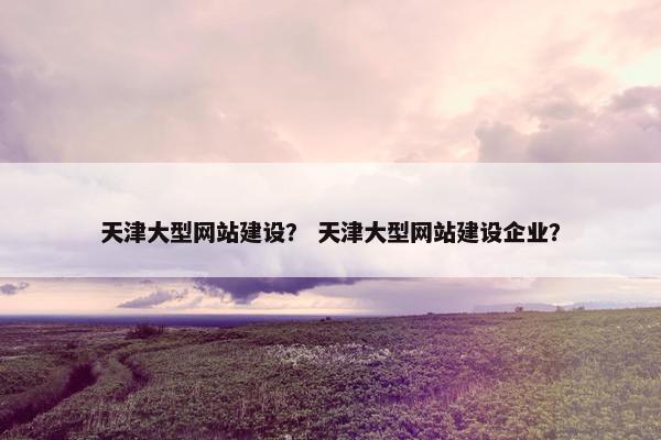 天津大型网站建设？ 天津大型网站建设企业？