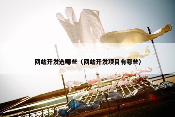 网站开发选哪些（网站开发项目有哪些）