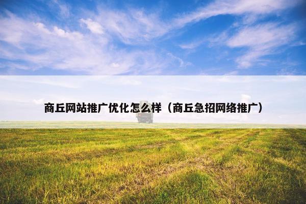商丘网站推广优化怎么样（商丘急招网络推广）