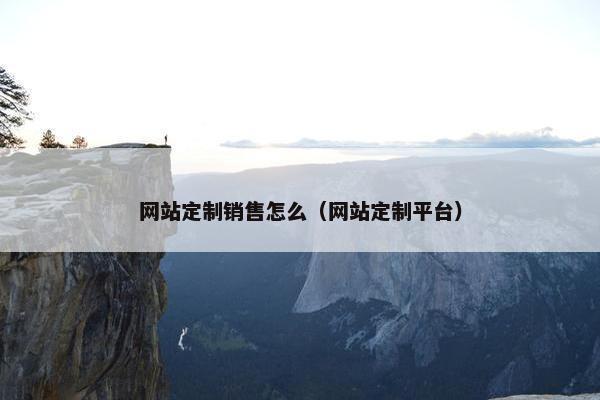 网站定制销售怎么（网站定制平台）