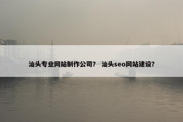 汕头专业网站制作公司？ 汕头seo网站建设？