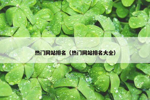热门网站排名（热门网站排名大全）