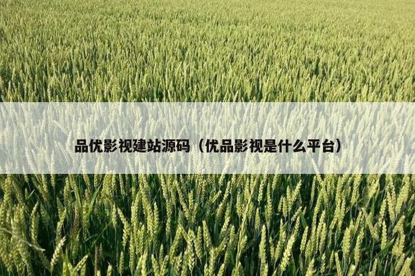 品优影视建站源码（优品影视是什么平台）