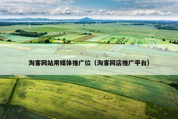 淘客网站用媒体推广位（淘客网店推广平台）