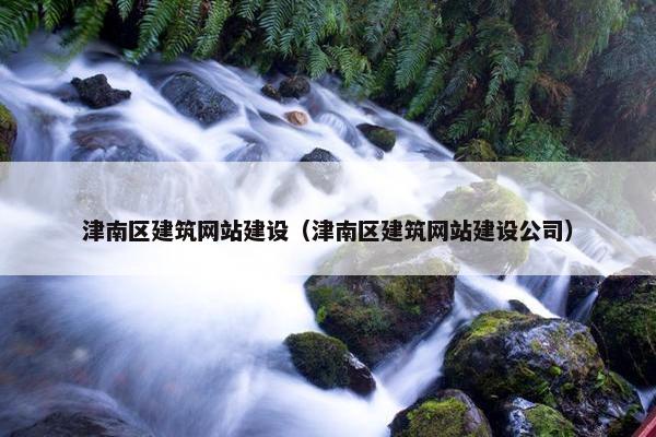 津南区建筑网站建设（津南区建筑网站建设公司）