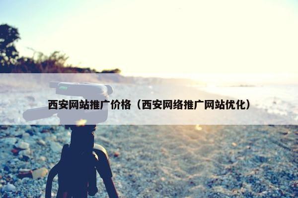 西安网站推广价格（西安网络推广网站优化）