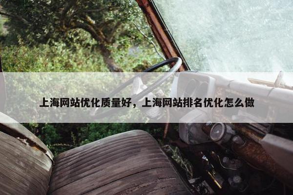上海网站优化质量好，上海网站排名优化怎么做