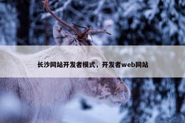 长沙网站开发者模式，开发者web网站