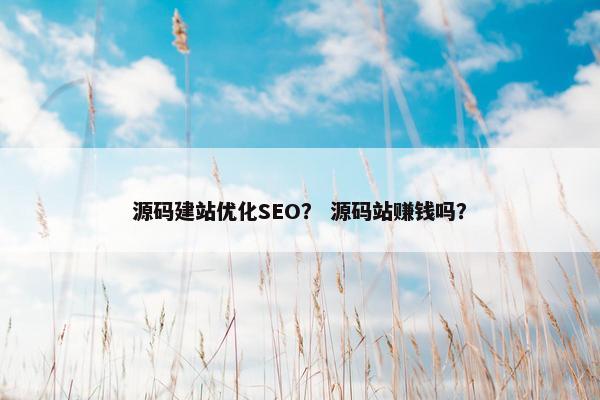 源码建站优化SEO？ 源码站赚钱吗？