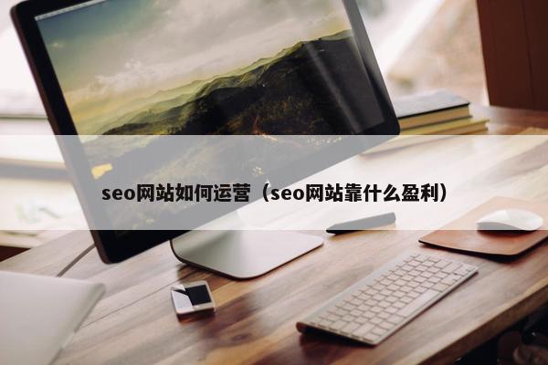 seo网站如何运营（seo网站靠什么盈利）