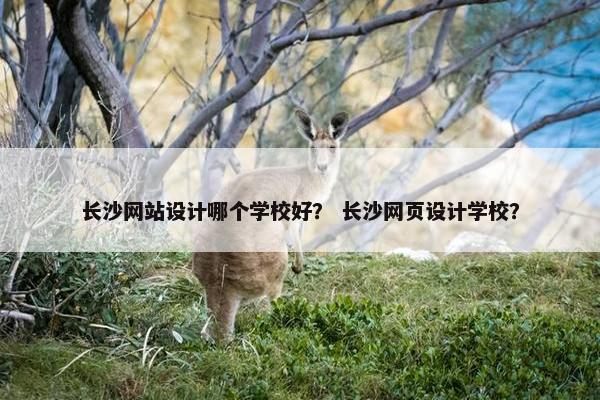 长沙网站设计哪个学校好？ 长沙网页设计学校？
