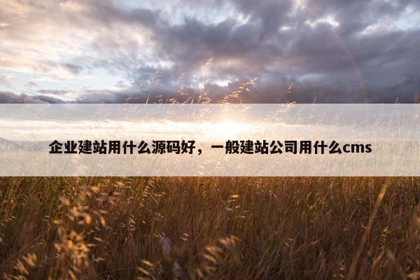 企业建站用什么源码好，一般建站公司用什么cms