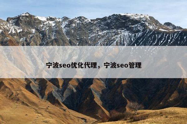 宁波seo优化代理，宁波seo管理
