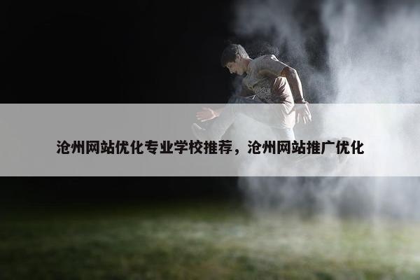 沧州网站优化专业学校推荐，沧州网站推广优化