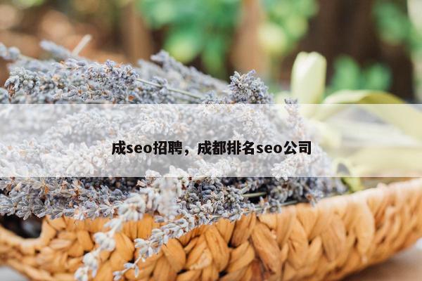 成seo招聘，成都排名seo公司