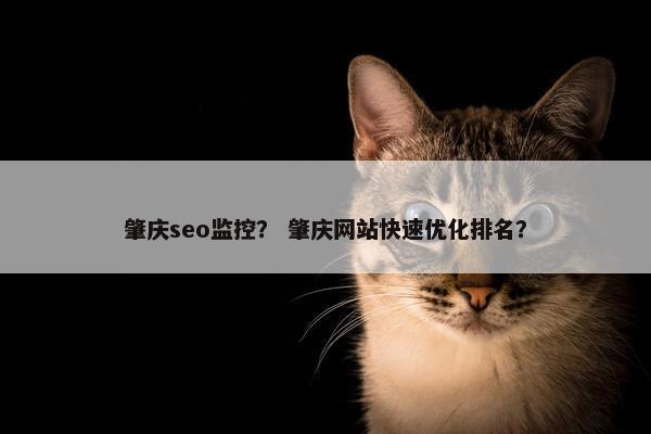 肇庆seo监控？ 肇庆网站快速优化排名？