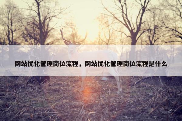 网站优化管理岗位流程，网站优化管理岗位流程是什么