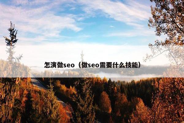 怎演做seo（做seo需要什么技能）