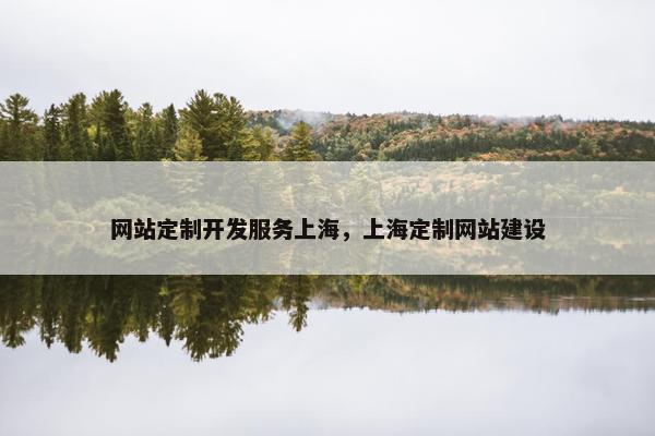 网站定制开发服务上海，上海定制网站建设