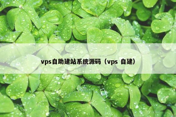 vps自助建站系统源码（vps 自建）