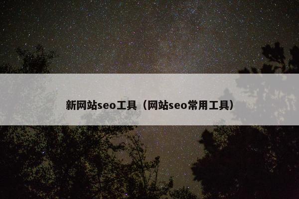 新网站seo工具（网站seo常用工具）