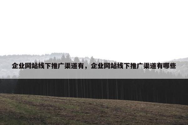 企业网站线下推广渠道有，企业网站线下推广渠道有哪些