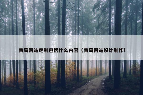 青岛网站定制包括什么内容（青岛网站设计制作）