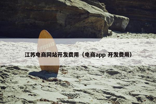 江苏电商网站开发费用（电商app 开发费用）