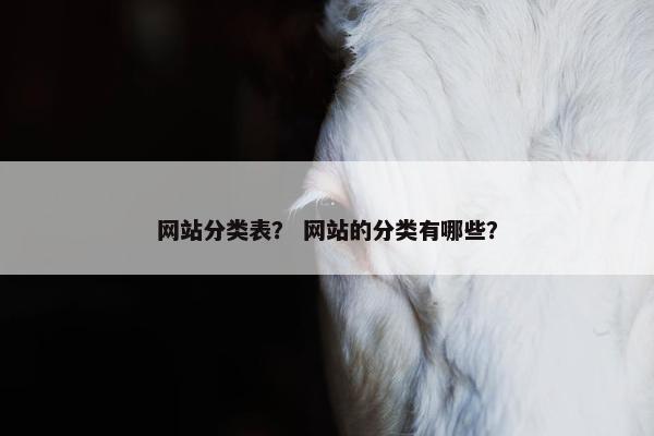 网站分类表？ 网站的分类有哪些？