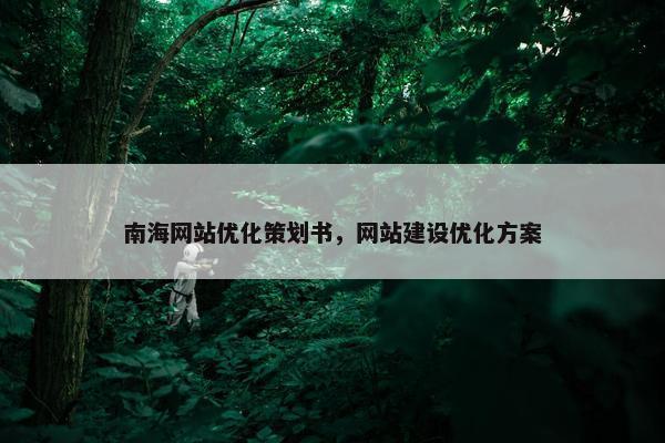 南海网站优化策划书，网站建设优化方案