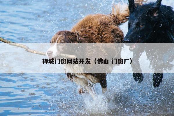 禅城门窗网站开发（佛山 门窗厂）