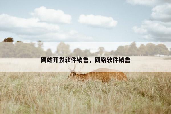 网站开发软件销售，网络软件销售
