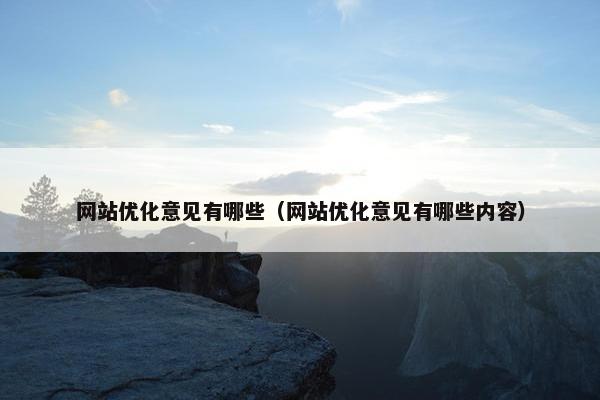 网站优化意见有哪些（网站优化意见有哪些内容）
