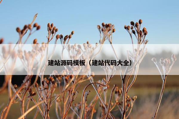 建站源码模板（建站代码大全）