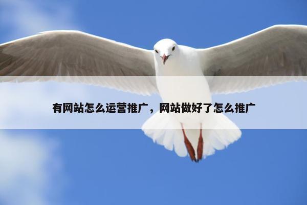 有网站怎么运营推广，网站做好了怎么推广