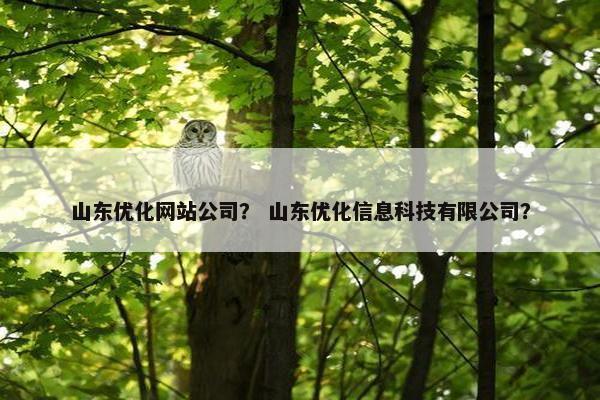 山东优化网站公司？ 山东优化信息科技有限公司？