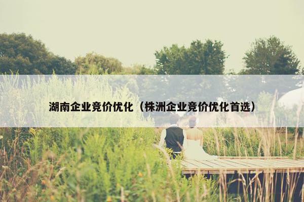 湖南企业竞价优化（株洲企业竞价优化首选）