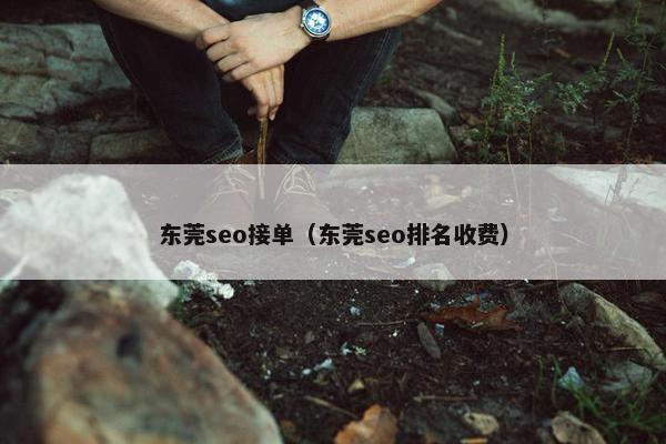 东莞seo接单（东莞seo排名收费）