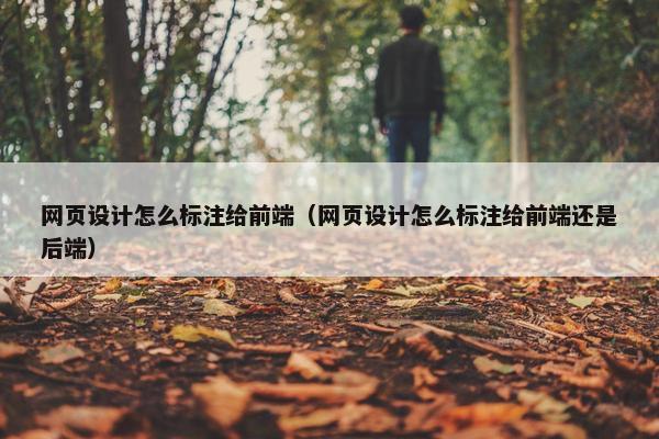 网页设计怎么标注给前端（网页设计怎么标注给前端还是后端）
