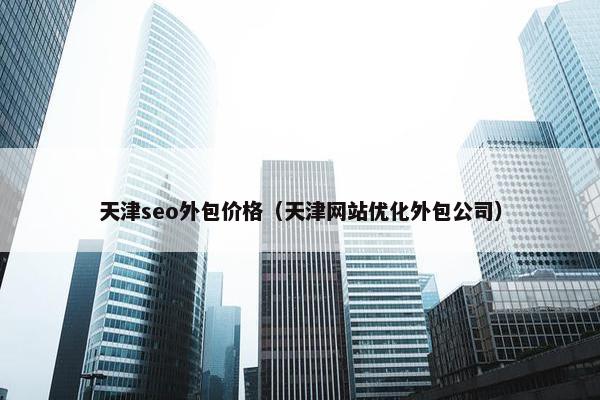 天津seo外包价格（天津网站优化外包公司）