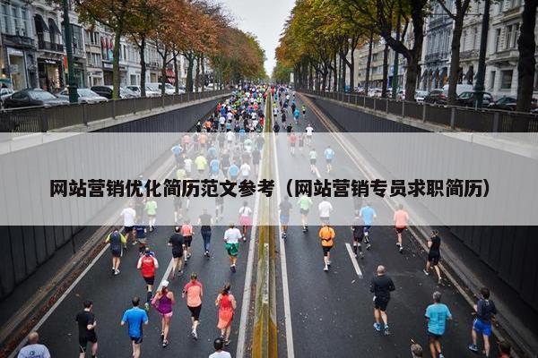 网站营销优化简历范文参考（网站营销专员求职简历）