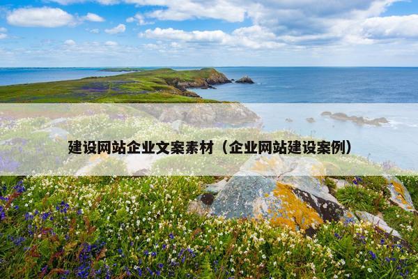 建设网站企业文案素材（企业网站建设案例）