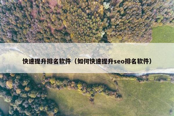快速提升排名软件（如何快速提升seo排名软件）